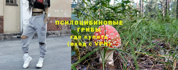 твердый Арсеньев