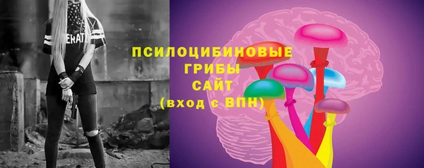 твердый Арсеньев